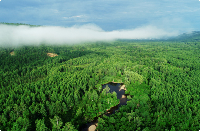 �֘I(y��)̼�R�Ŀ�������x��ָ�ϣ�����x̼�R�־W(w��ng)��