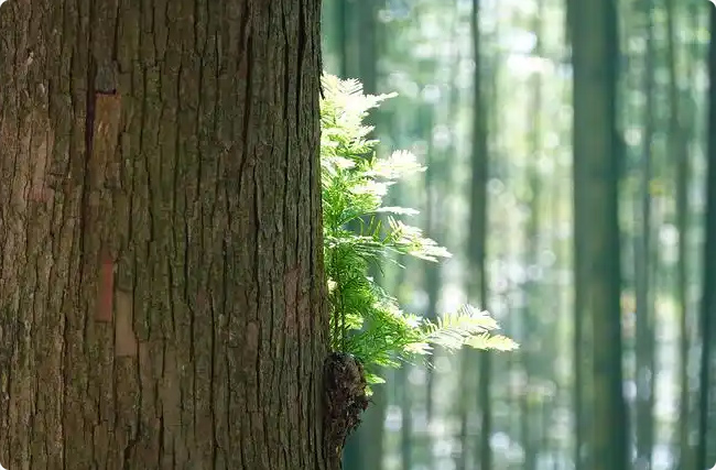 ���K�֘I̼�R���������c�Ј�ͻ��