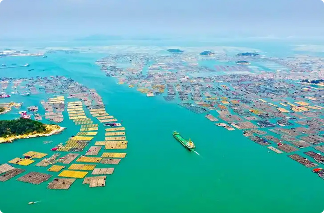 ���e̼������̼������O�I(y��)̼�R�ĸ������`