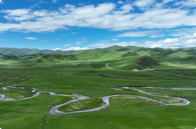 ��ظ�ԭ�׬F�����ŷ�