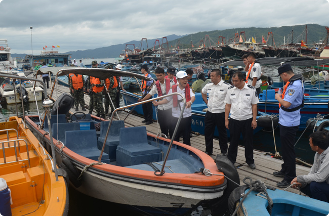 �B�T̼�R�̷������������ľGɫ����