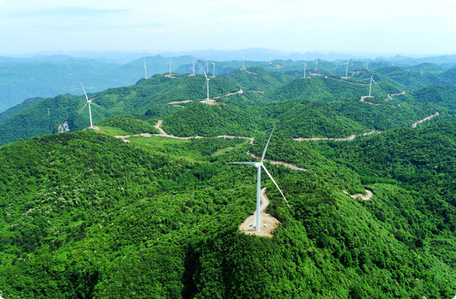 ̼Ʊ�Ͼ����˲�̼�R������̽��