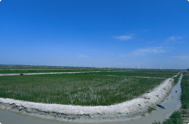 �}�A��׃����̼���족��