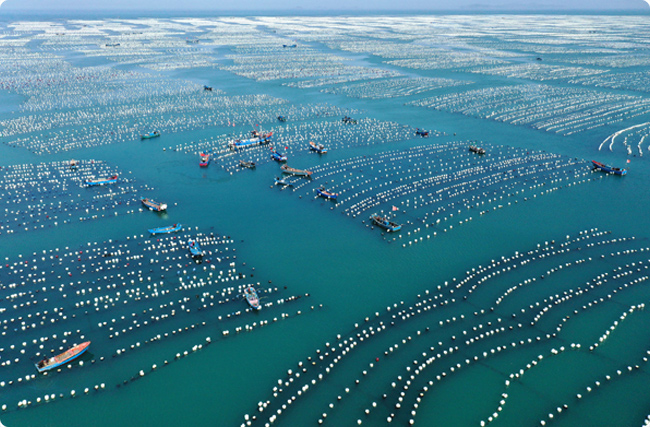 �Oؐ�½�̼�R�����Ʊ�