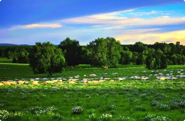 ����̼�켤�����Bؔ�����ֲ�̼�R��������Ї��p̼��D��