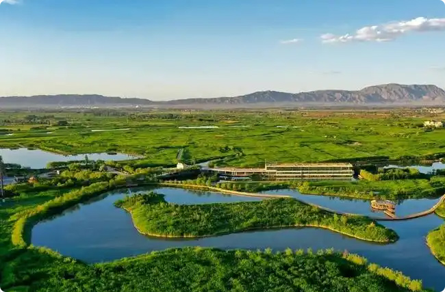 ����̼�켤�����Bؔ�����ֲ�̼�R��������Ї��p̼��D��