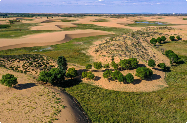 �C(j��)�P(gu��n)�p̼��(n��i)�����}